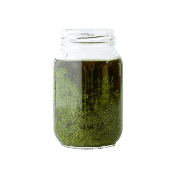 Salsa Pesto